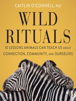 cover image of Wild Rituals